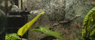 Hur du sänker flödet i ditt akvarium
