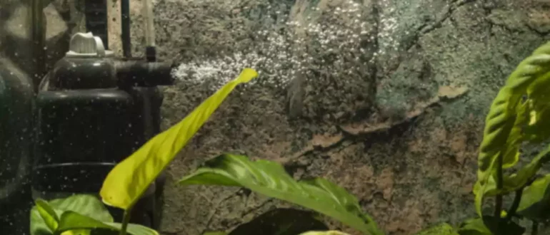 Jak zpomalit proudění vody v akváriu